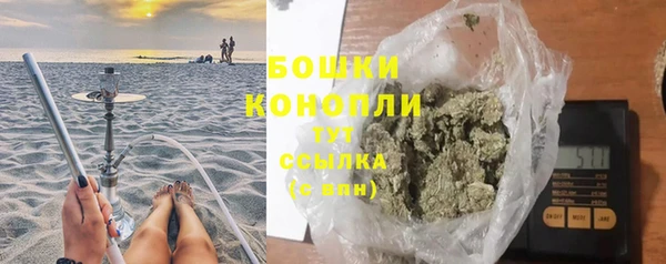бошки Лагань